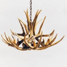 Mule Deer 8 Antler Chandelier Mule Deer Antlers, Horn Designs, Deer Antler Chandelier, Antler Wreath, 8 Light Chandelier, Natural Beeswax Candles, Black Forest Decor, Antler Art, Antler Chandelier