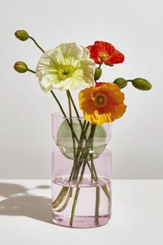 three different colored flowers in a clear vase