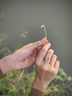 "VELADEE :  Happy Stories collection.  Mandarin duck family Stacking Rings - Papa duck, Mama duck and Baby duck ring this collection invites you to carry a piece of happiness and imagination wherever life takes you. Every piece in this collection is handmade, making each quirky and unique. No two are exactly alike! Handcrafted and fully produced in Thailand.\" // materials: Sterling Silver 925 with 18k gold plating  // finishing: high-quality enamel and special coating technique // colour: green, yellow, orange, purple, brown, white, blue,   Launch - 2021 August //size info US 5 - EU 49 ( Diameter = 15.7 mm / Circumference = 49.3 mm )  US 6 - EU 52 ( Diameter = 16.5 mm / Circumference = 51.9 mm ) US 7 - EU 54 ( Diameter = 17.3 mm / Circumference = 54.4 mm ) US 8 - EU 57 ( Diameter = 18.2 m Stackable Flower Ring For Everyday, Everyday Stackable Flower Ring, Stackable Everyday Flower Ring, Nature-inspired Stackable Rings For Gifts, Panther Ring, Mandarin Duck, Baby Ducks, Animal Rings, Minimalist Rings