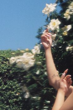 a woman reaching up into the air with her hand in front of white flowers on a bush