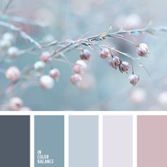 the color scheme is blue and gray, with white berries on it's branches