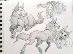 a drawing of three different animals in the same direction, one running and one jumping