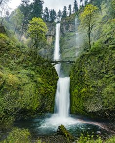 a waterfall in the middle of a forest with a bridge over it and trees on both sides