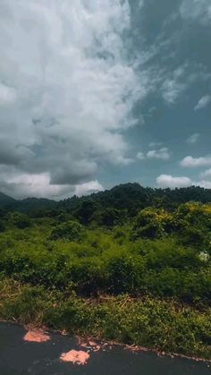 the sky is very cloudy and there are trees in the distance