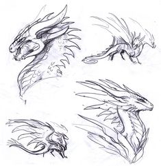 some drawings of different types of dragon heads