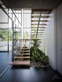 an indoor stair case with plants and rocks on the bottom, in front of a glass wall