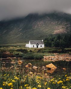 a house sitting on top of a lush green hillside next to a river with yellow flowers