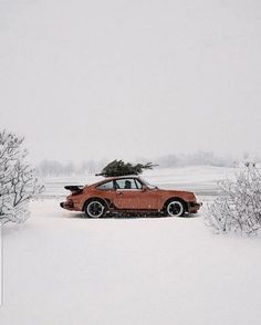 a car parked in the snow with a christmas tree on top