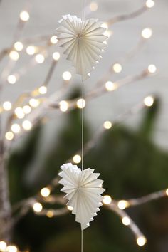 two white paper decorations hanging from a tree