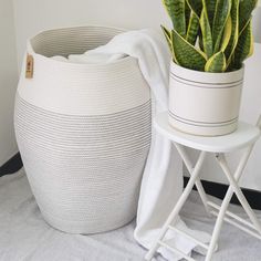 a large potted plant sitting on top of a table next to a white stool