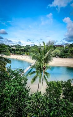 view of Palawan Beach from aerial viewpoint Palawan Island, So Aesthetic, Beach Cars