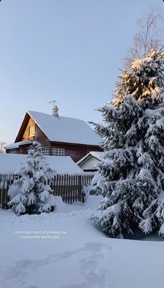 snow covered evergreen trees in front of a house