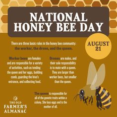 the national honey bee day poster