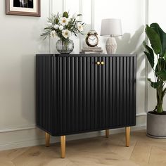 a black cabinet sitting next to a potted plant on top of a hard wood floor