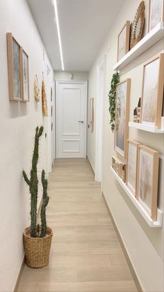 a long hallway with pictures on the wall and a potted cactus in the middle