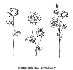 four different types of flowers on a white background with the text,'beautiful roses '