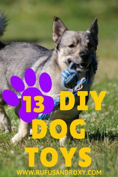 a dog holding a toy in its mouth with the words 13 diy dog toys below it