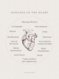 the diagram shows the heart and its major functions