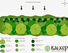 Ecology Projects, Food Forest Garden, Regenerative Agriculture, Ecology Design, Farmhouse Landscaping