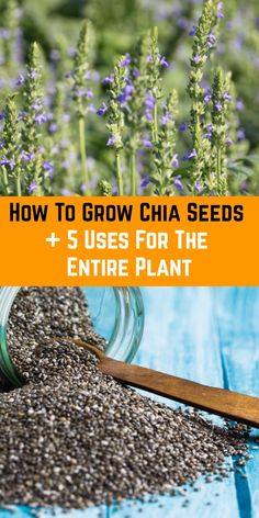 a jar filled with chia seeds on top of a wooden table next to purple flowers