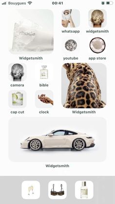 an image of a car and some other things on the webpage, with words above it