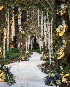 an outdoor garden with lots of flowers and greenery on the walkway, surrounded by trees