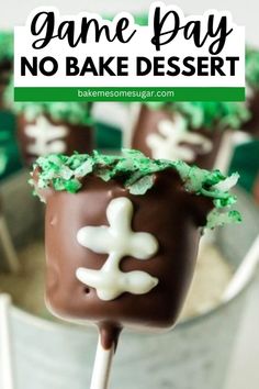 chocolate covered marshmallows on a stick with green leaves and white frosting