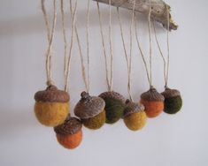 an assortment of acorns hanging from strings on a white wall next to a piece of driftwood