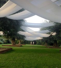 an outdoor area with grass, trees and white fabric draped over the top of it