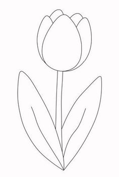 the outline of a flower on a white background