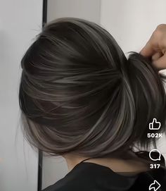 Silver On Brown Hair, Low Lights For Dark Hair Black, Edgy Asian Hair, Bright Highlights On Dark Hair, Blueblack Haircolor, Black Hair Grey Highlights, Black Hair Babylights, Black Dyed Hair Ideas, Ash Highlights On Dark Hair