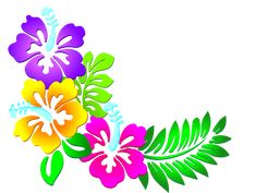 an image of colorful flowers on white background