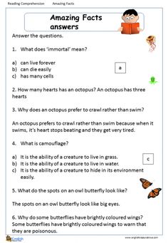 an answer sheet with the words amazing fact and pictures on it, which are also in english