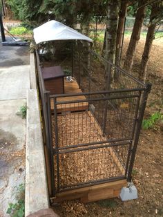 a caged in animal pen with an umbrella on the side walk next to trees