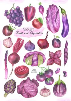 a watercolor drawing of different vegetables on a white background with the words violet written below it