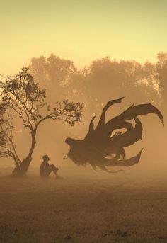 a person sitting under a tree in the middle of a foggy field with trees