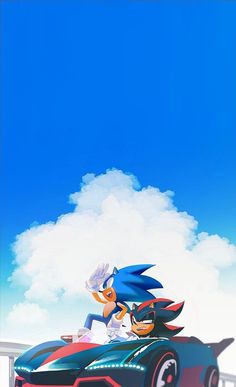 sonic and tails driving in a race car on a sunny day with blue skies behind them