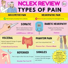 an info poster describing the types of pain and how to use it in this article