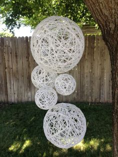 three white balls hanging from the side of a tree