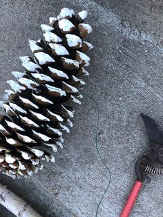 a pine cone is next to a pair of pliers on the ground with some wire in front of it