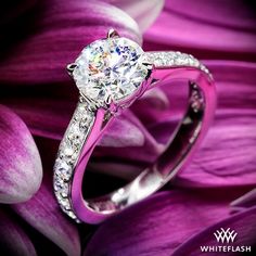 Named after the exquisite flower of the south, the "Magnolia" Diamond Engagement Ring is truly a splendid beauty.  Sparkles abound with the 16 A CUT ABOVE® Hearts and Arrows Diamond Melee (0.60ctw, F/G VS). Elegant Pink Diamond Ring In Platinum, Dazzling Brilliant Cut Flower Ring For Wedding, Classic Diamond Flower Ring For Weddings, Luxury Wedding Flower Ring With Brilliant Cut Diamonds, Luxury Wedding Flower Ring With Brilliant Cut, Wedding Flower Ring In Platinum, Wedding Platinum Flower Ring In Fine Jewelry Style, Wedding Platinum Flower Ring Fine Jewelry, Elegant Flower-shaped Platinum Jewelry