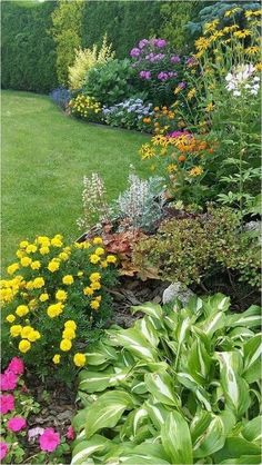 a garden filled with lots of different types of flowers