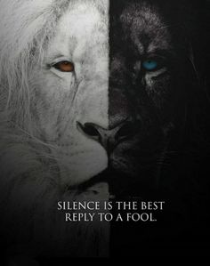 two lions with blue eyes and the words science is the best reppit to a fool