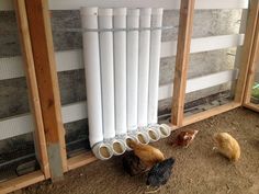 chickens and roosters are standing in front of a white radiator on the ground