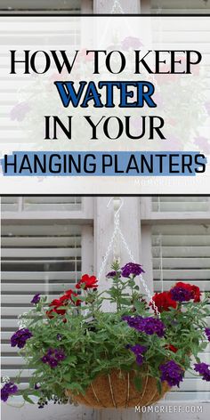 hanging plants diy Herbal Garden, Hanging Plants Diy, Wall Hanging Decorations, Indoor Plant Wall, Medicinal Garden, Plants Diy, Hanging Plant Wall, Plants Wall, Hanging Flower Baskets