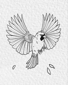 a black and white drawing of a bird with its wings spread out in the air