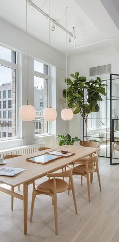 a dining room table surrounded by chairs and a potted plant in the middle of the room