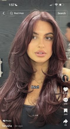 Raspberry Truffle Hair Color, Raspberry Chocolate Hair Color, Truffle Raspberry Hair, Long Burgundy Hair With Layers, Burgundy Hair With Curtain Bangs, Cherry Red Dark Hair, Brown Wine Hair Color, Strawberry Chocolate Hair, Black Red Balayage