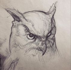 an owl's head is shown in this drawing