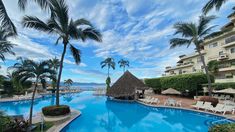 an outdoor swimming pool surrounded by palm trees